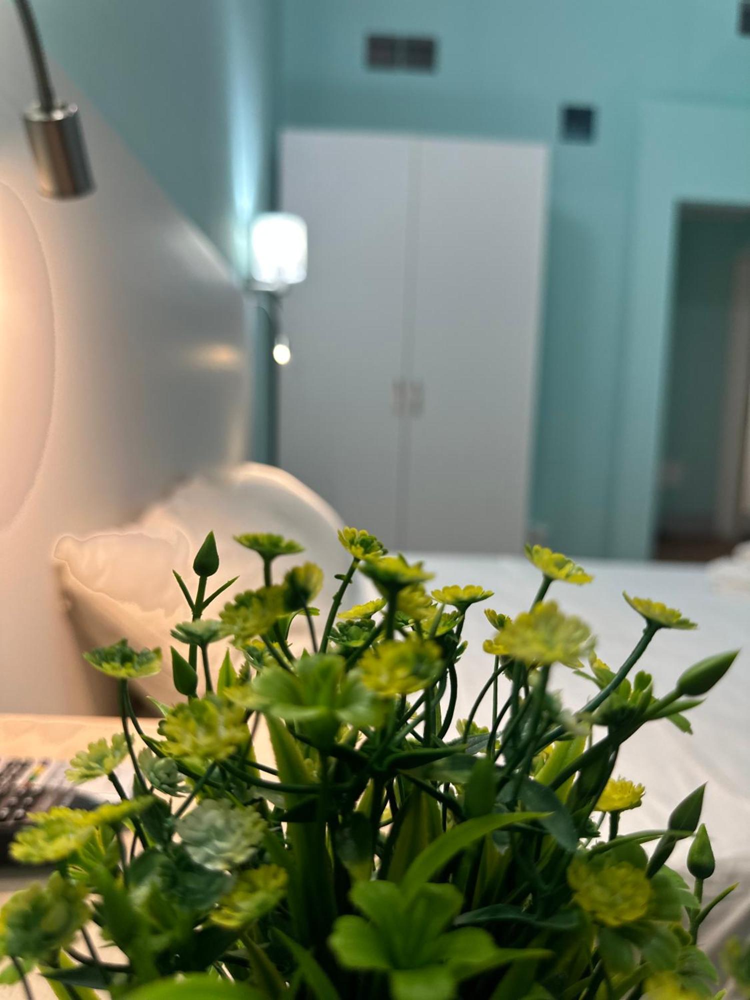 B&B - Residenza D'Epoca Piazza Cairoli Pisa Eksteriør bilde